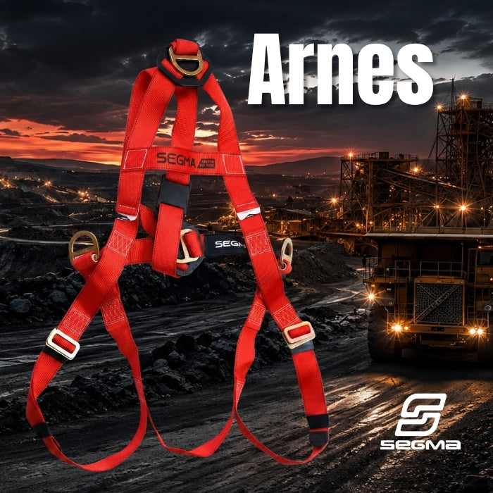 Arnes