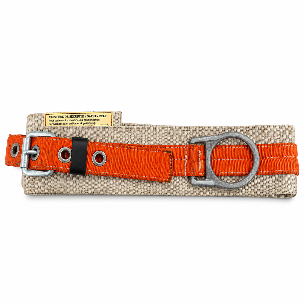 CINTURON SEG. LUMBAR C/ 2 ARGOLLAS