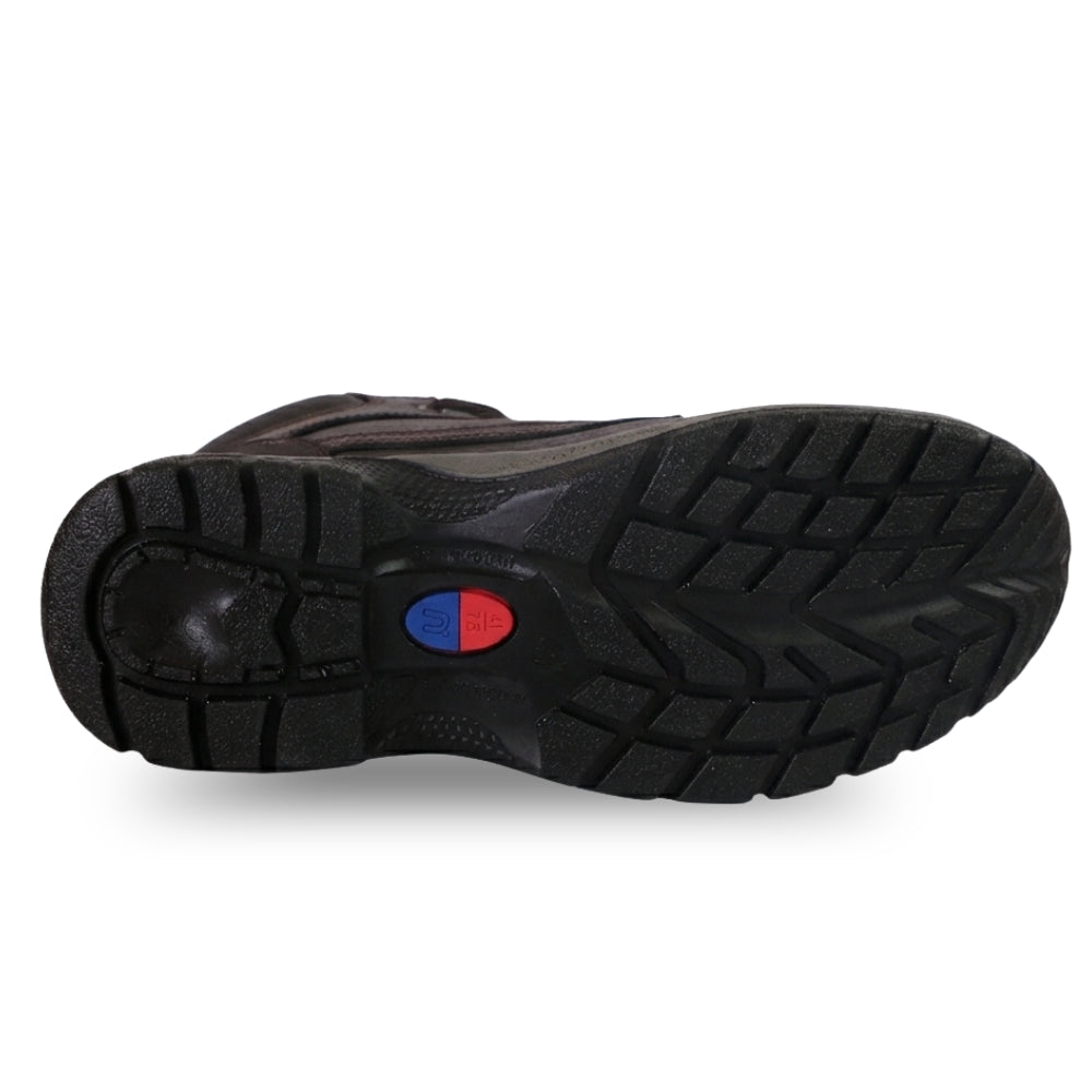 BOTIN NG 570 NORSEG  (MULTIFAENA)