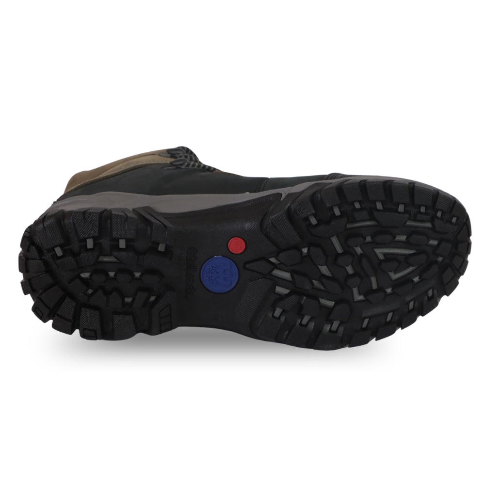 BOTIN EDELBROCK ED201